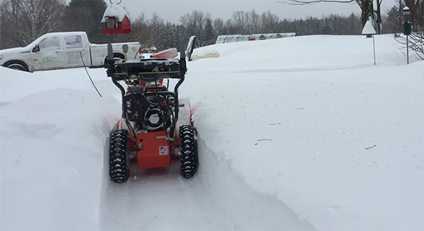 Walking Path in Winter and how it effects your organic lawn