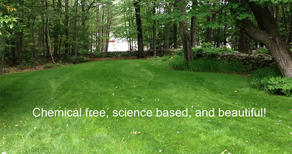 Chemical free, beautiful organic lawn