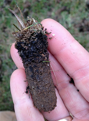 Understanding your soil is the key to organic lawn success.