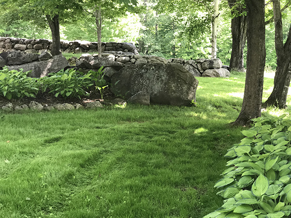 Natrual landscaping at its best in NH