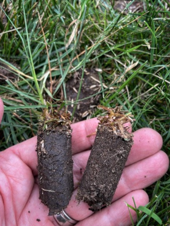 A woman's hand holds pieces of aerated soil after NH organic lawn care services