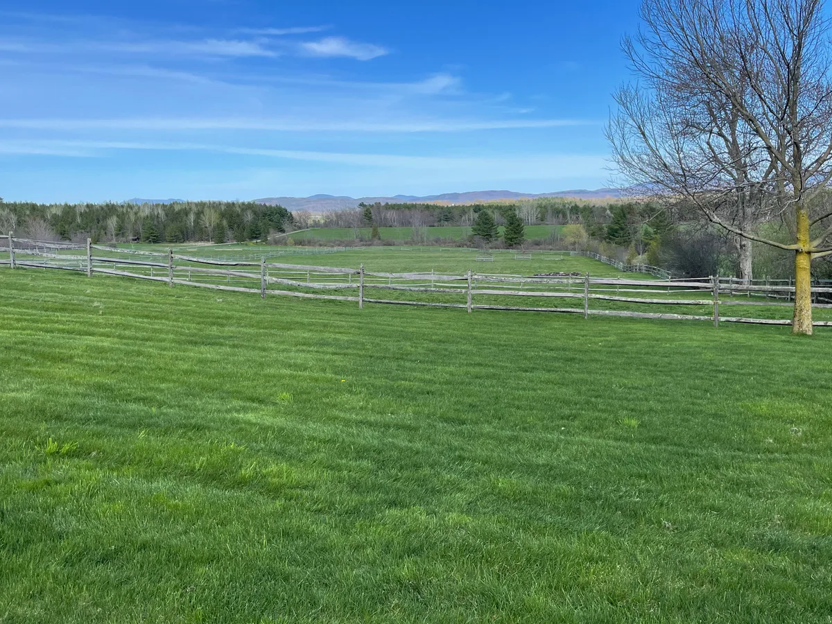 Organic lawn care result