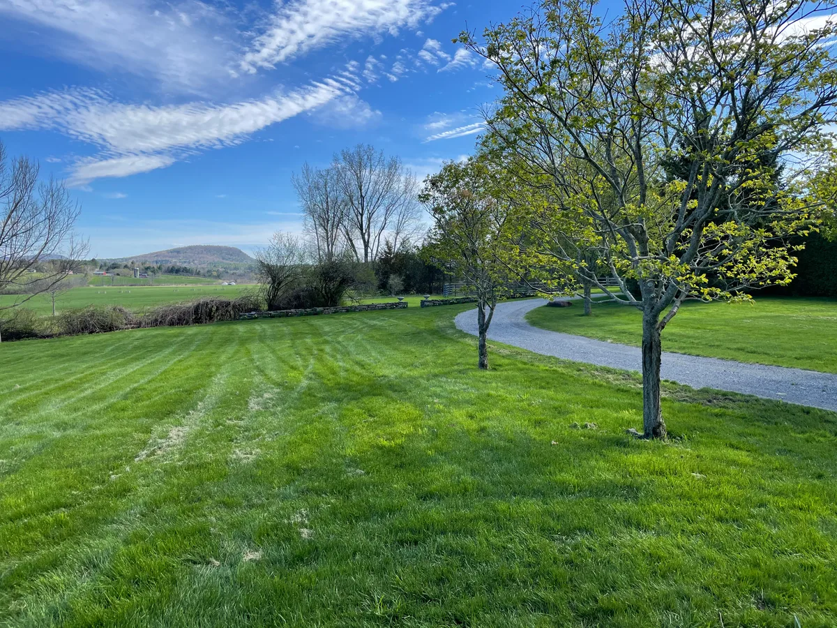 Organic lawn care result