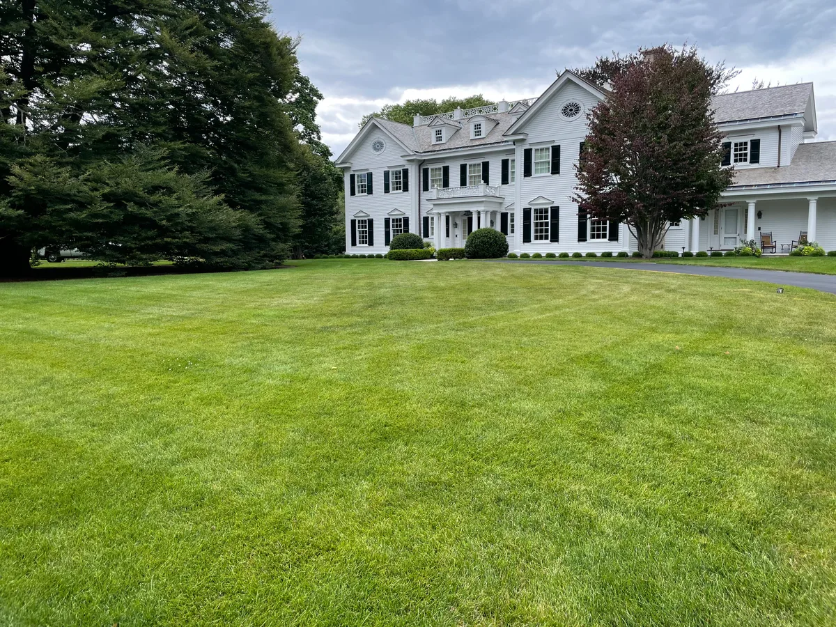 Hybrid organic lawn care program