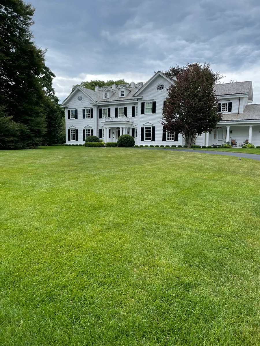 Organic lawn care result