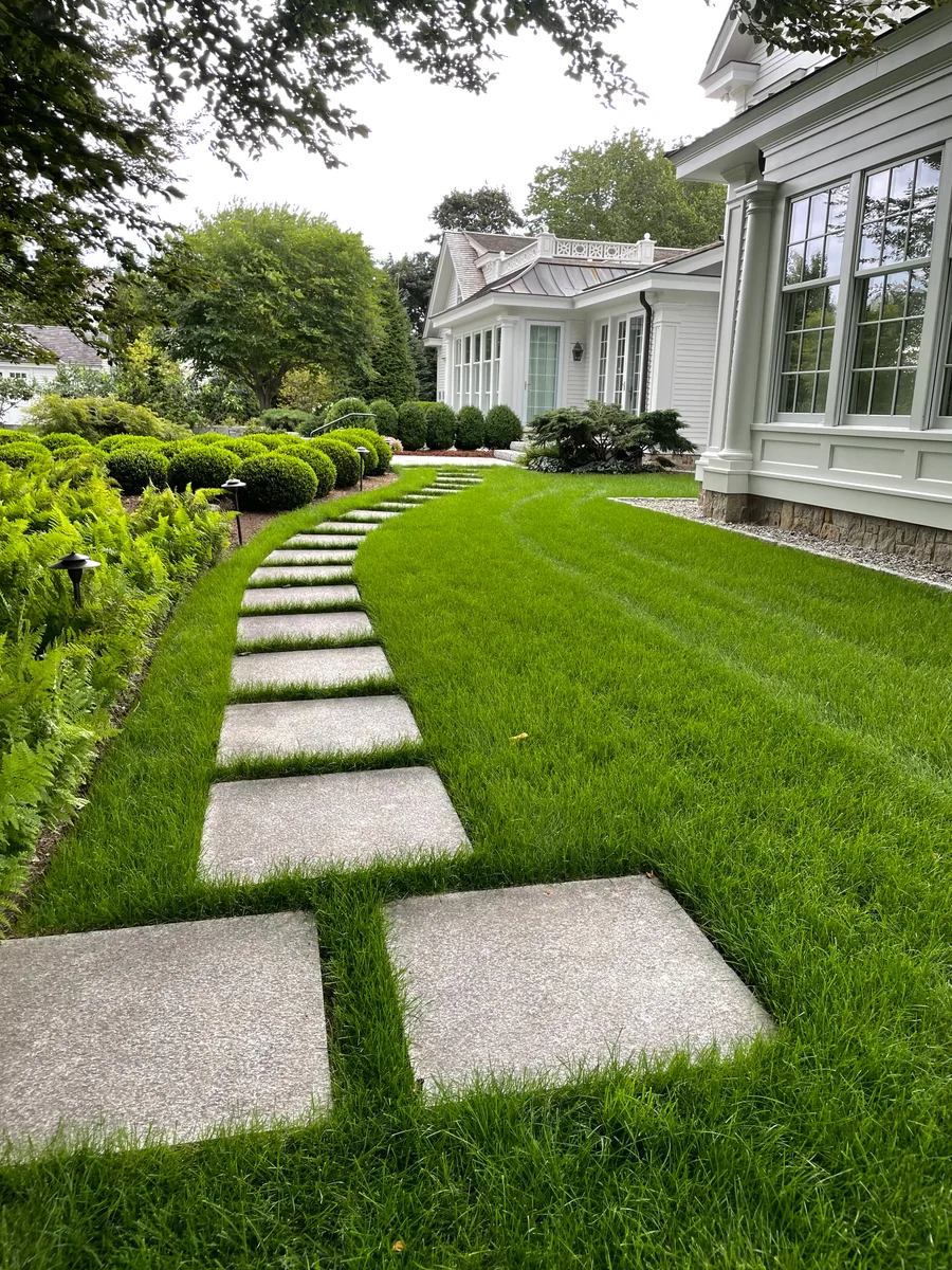 Organic lawn care result