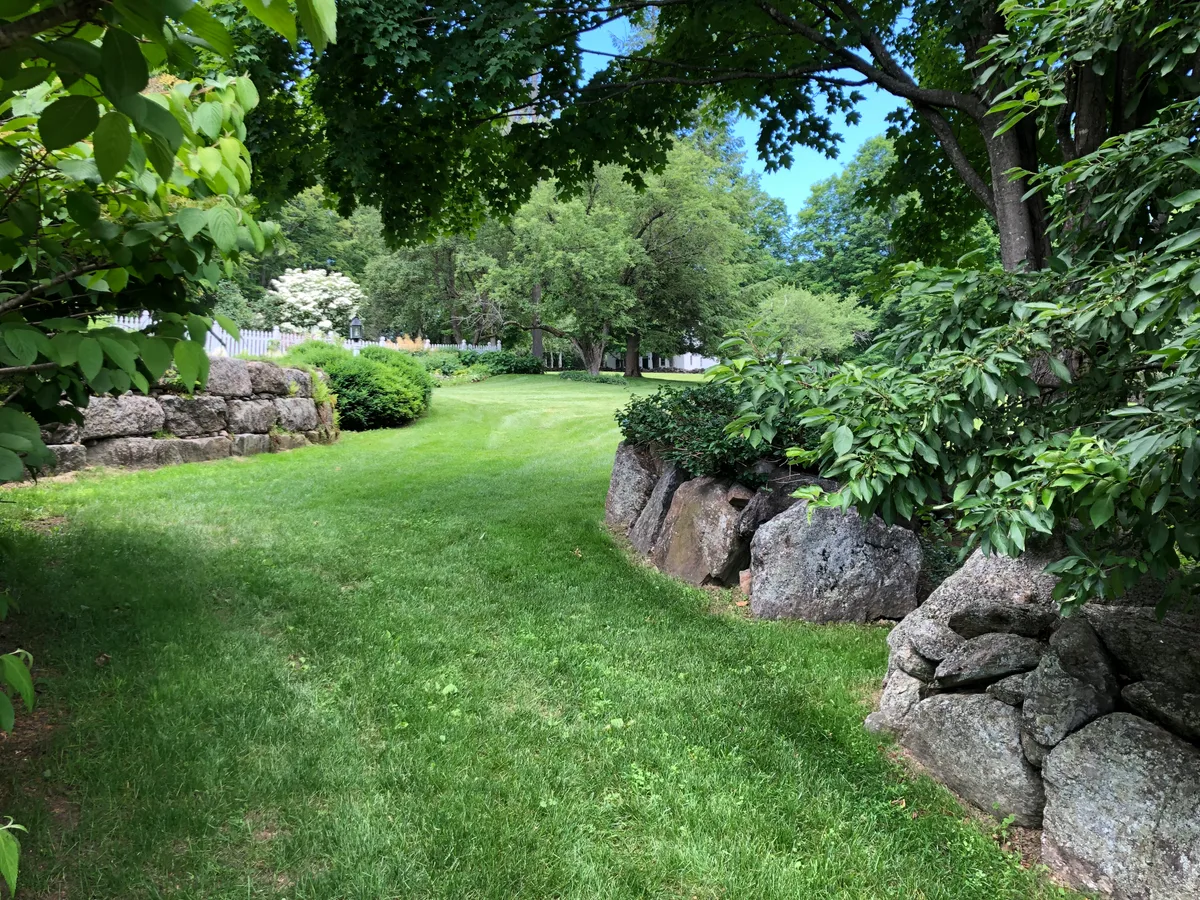 Organic lawn care result