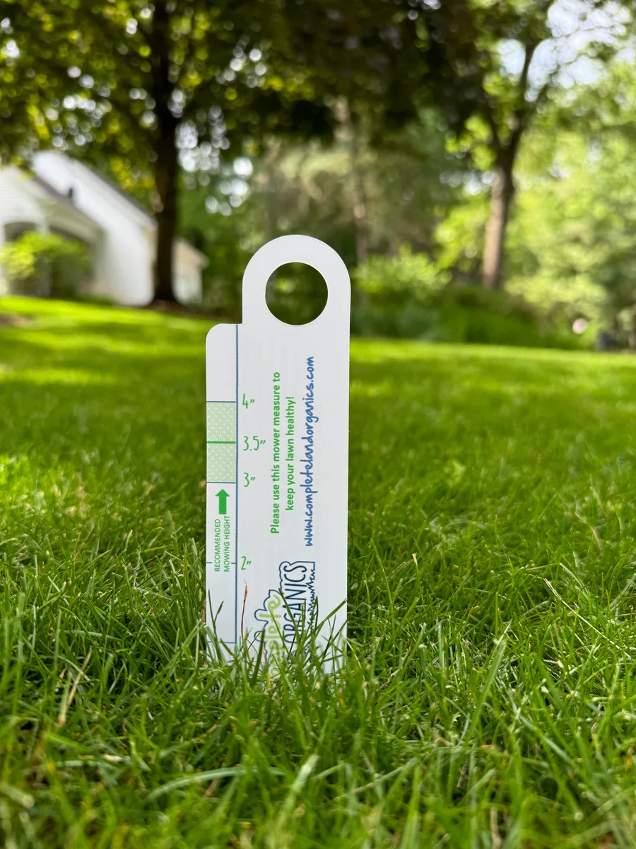 Organic lawn care result