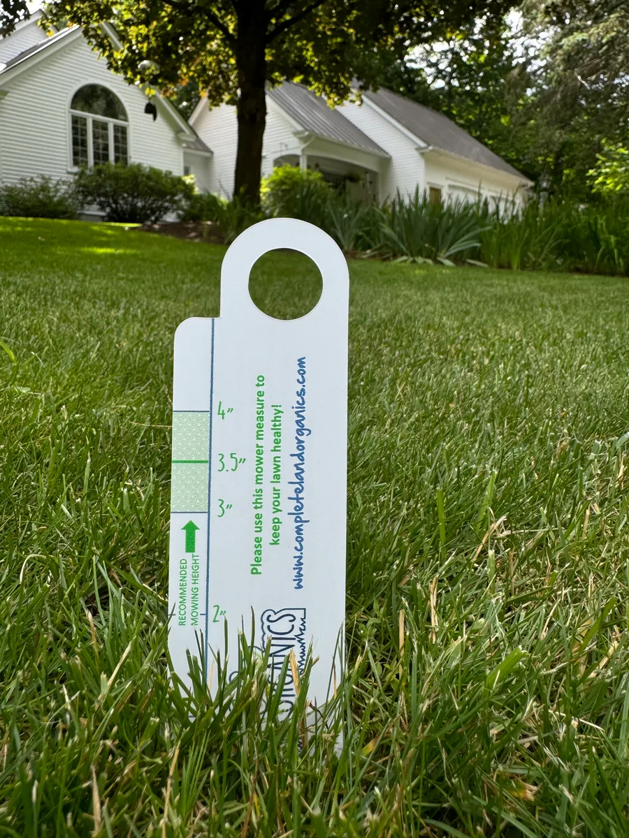 Organic lawn care result