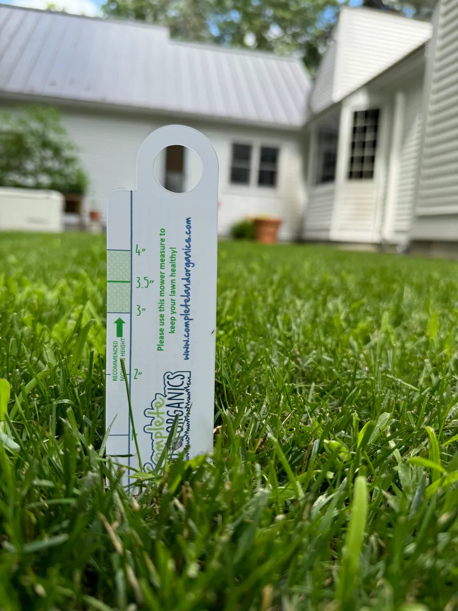 Organic lawn care result