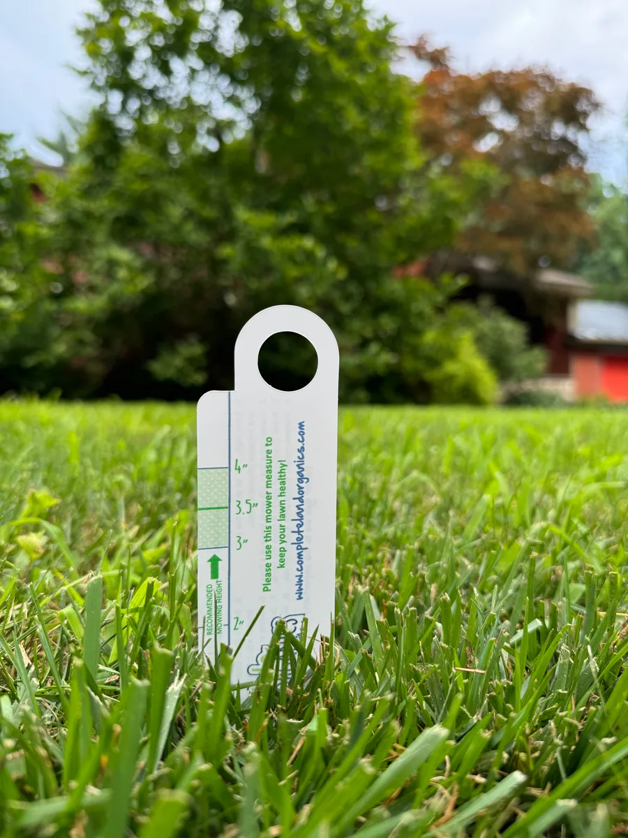 Organic lawn care result