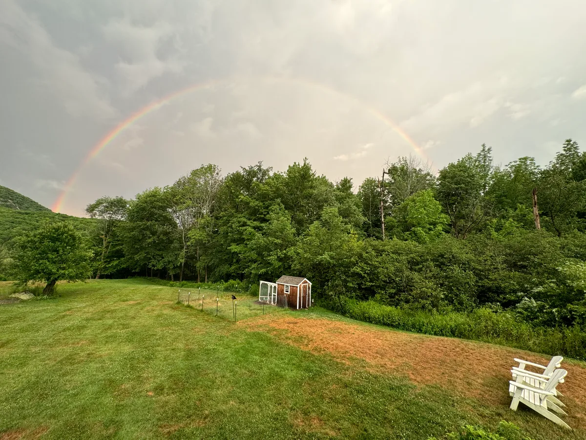 Organic lawn care result