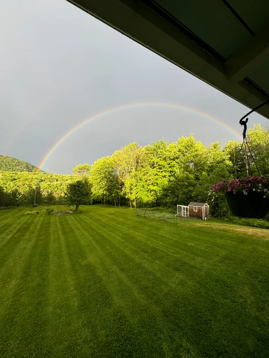 Organic lawn care result