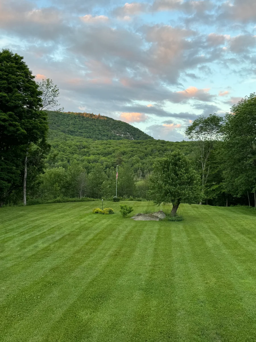 Organic lawn care result