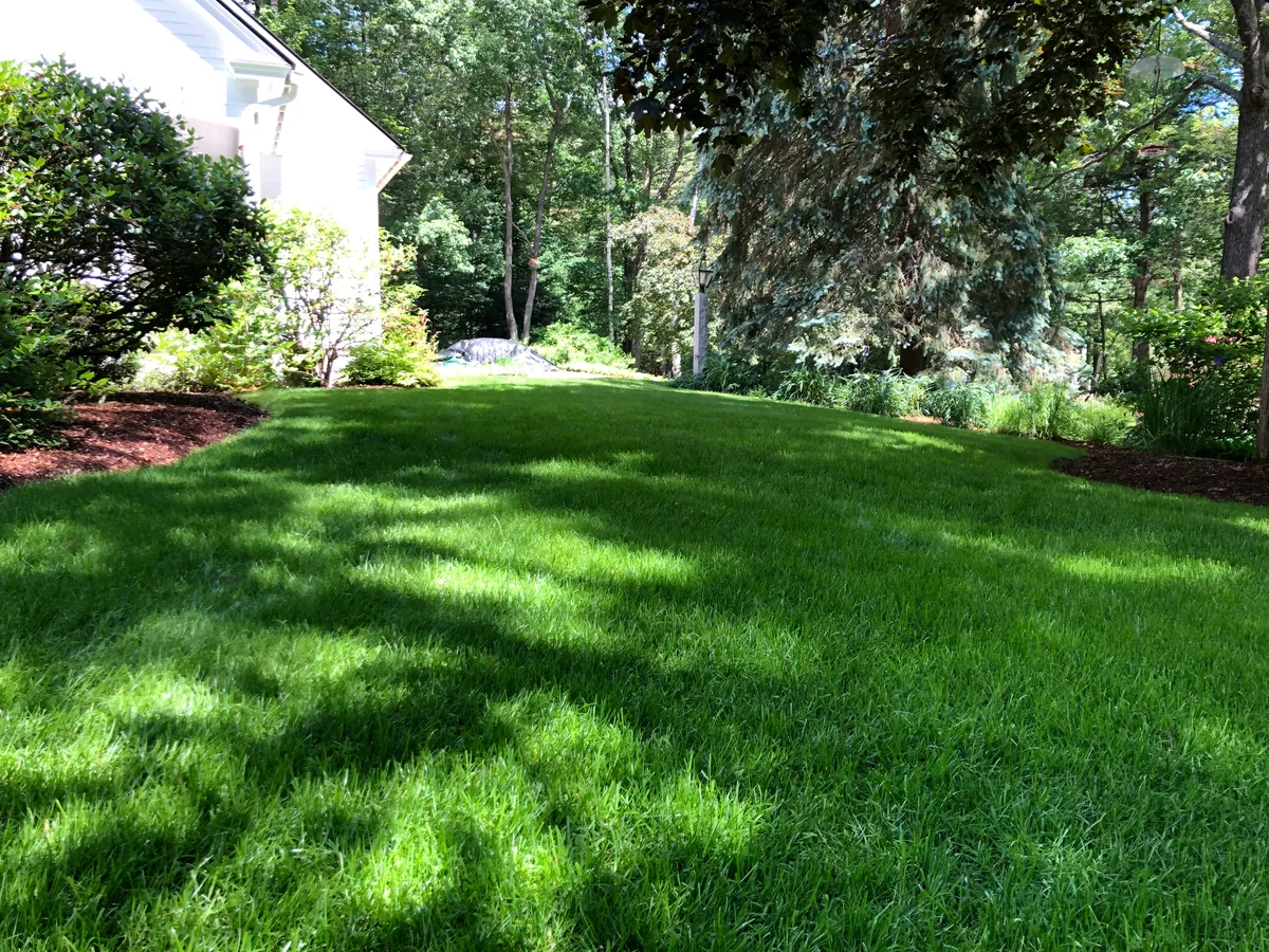 Custom seasonal plan