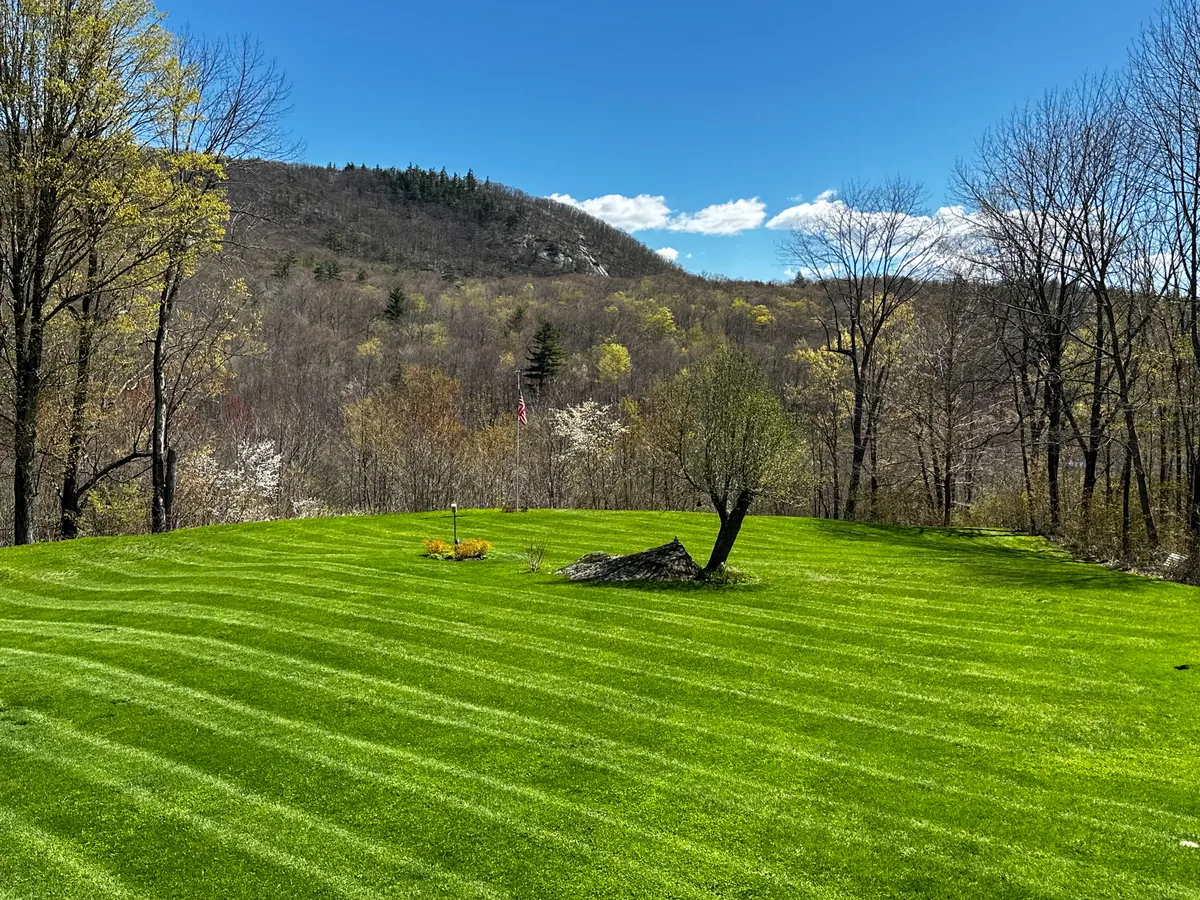 Organic lawn care result