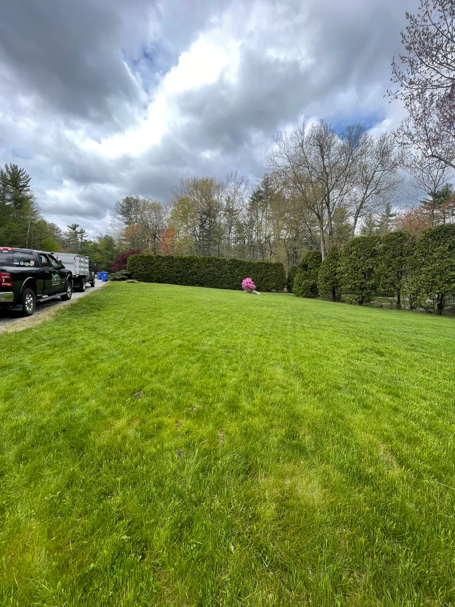 Organic lawn care result