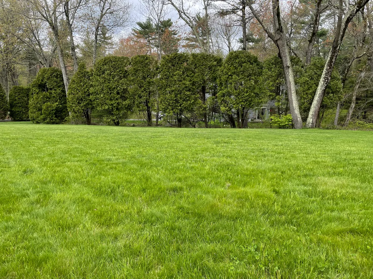 Organic lawn care result