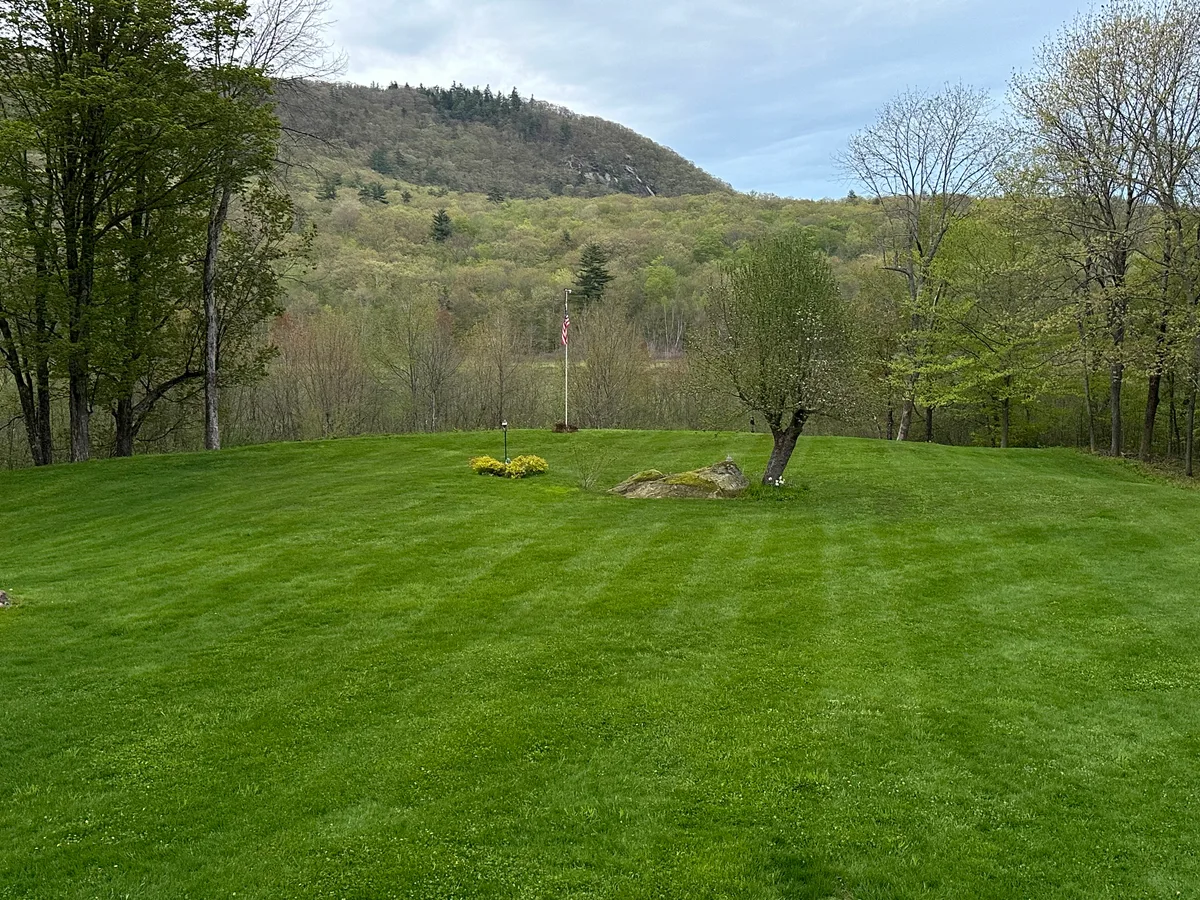 Organic lawn care result