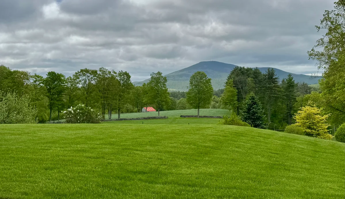 Organic lawn care result