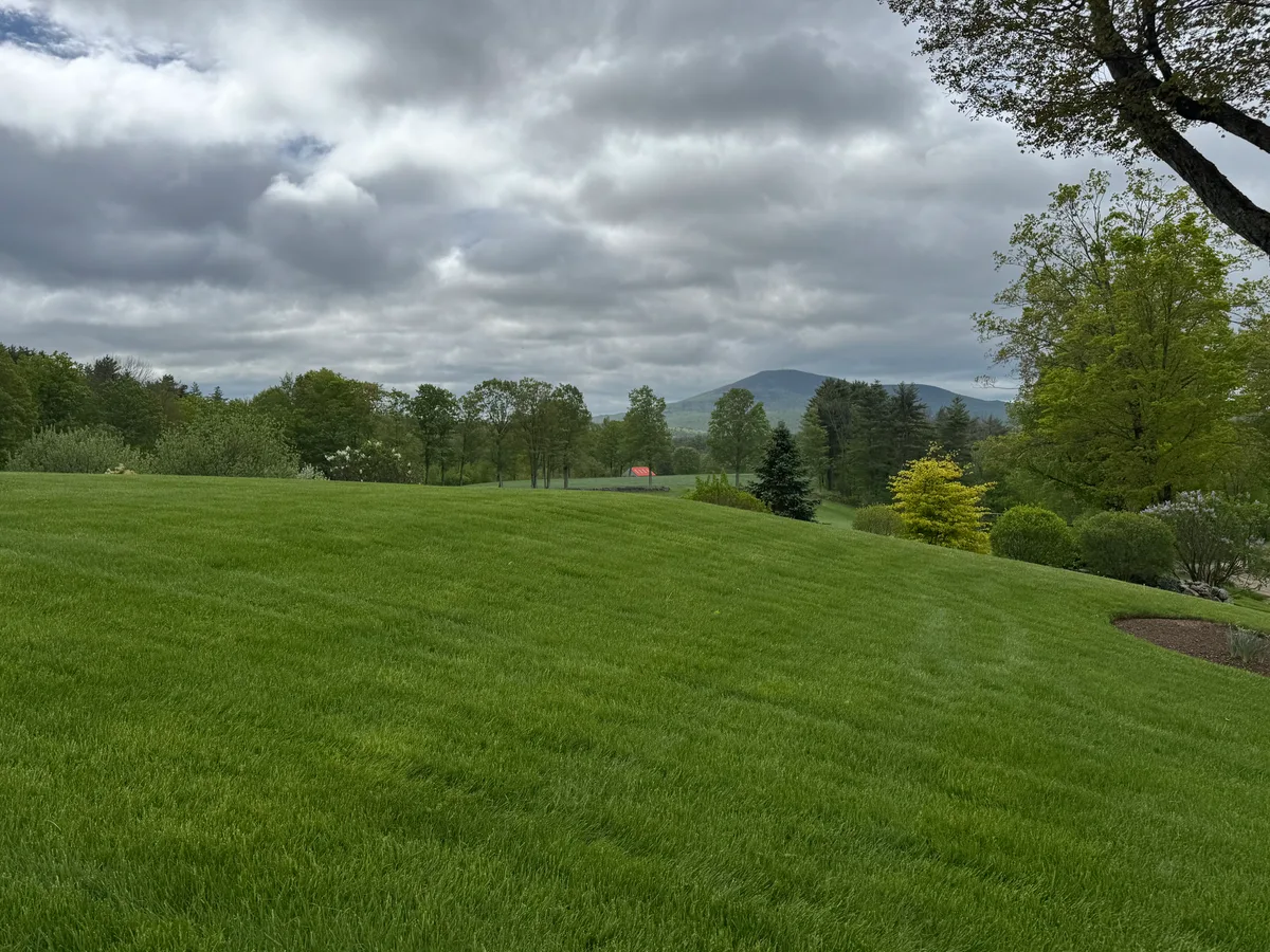 Hybrid organic lawn care process