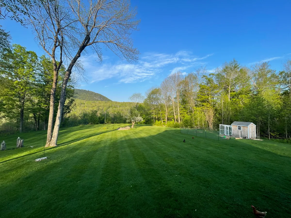 Organic lawn care result