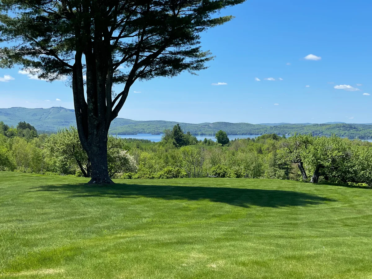 Organic lawn care result