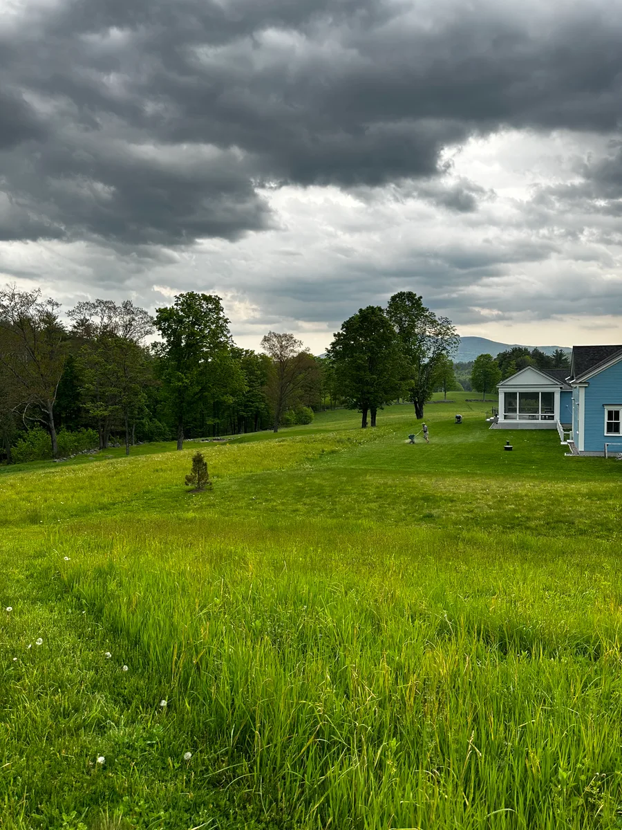 Organic lawn care result