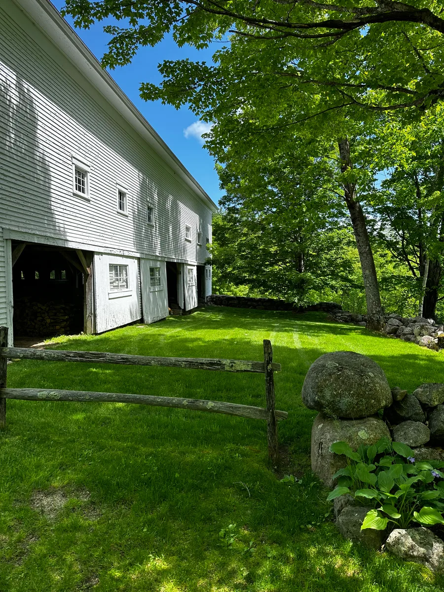 Organic lawn care result