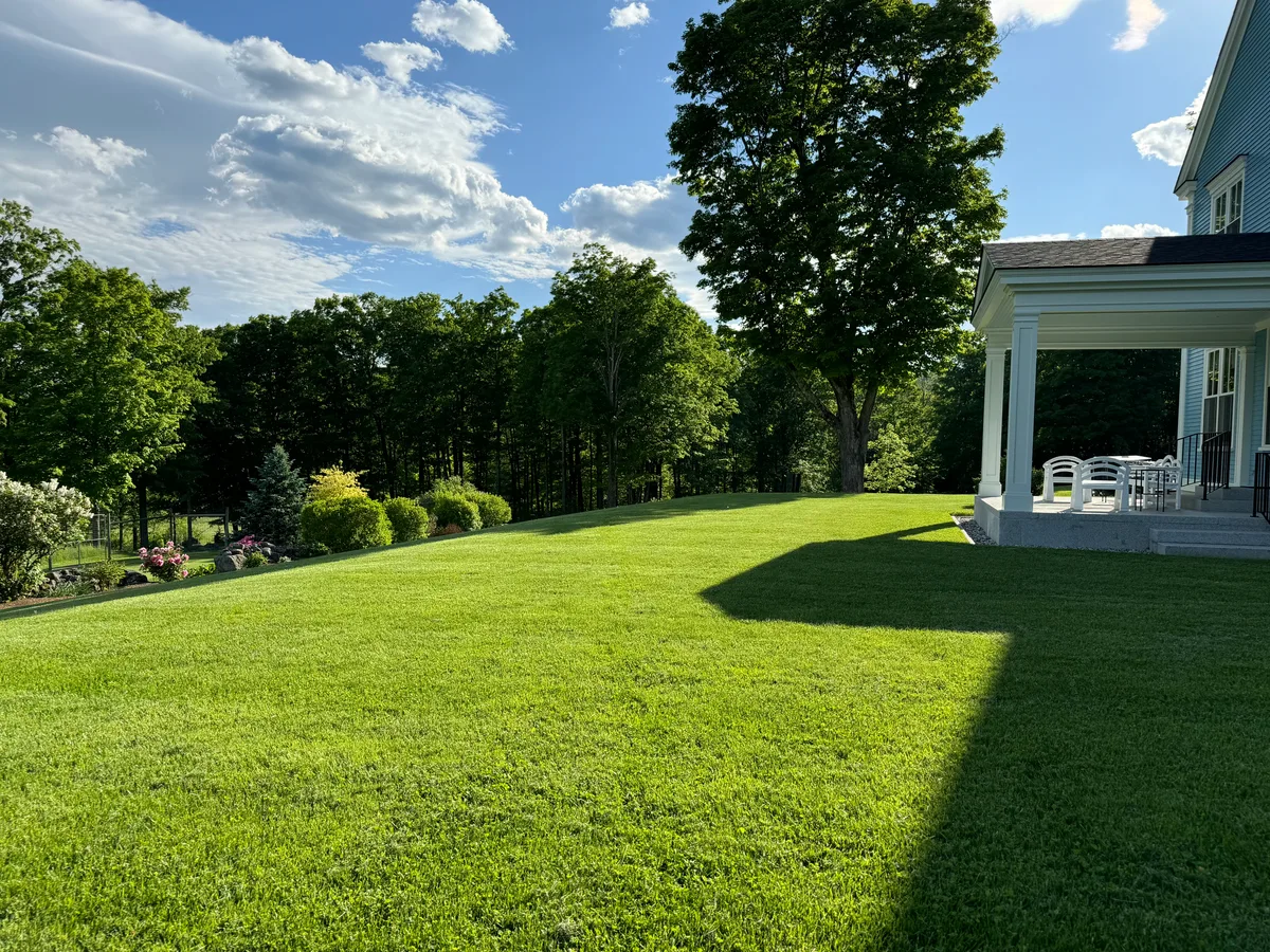 Organic lawn care result