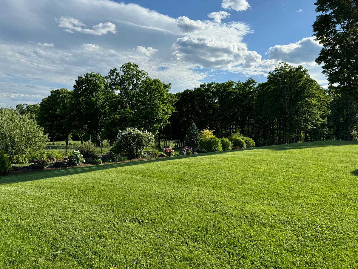 Organic lawn care result