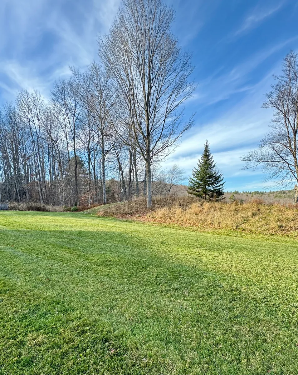 Organic lawn care result