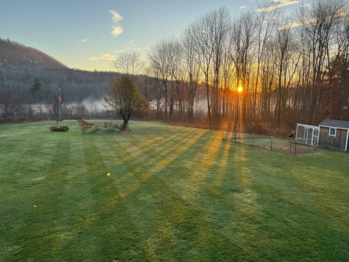 Healthy organic lawn