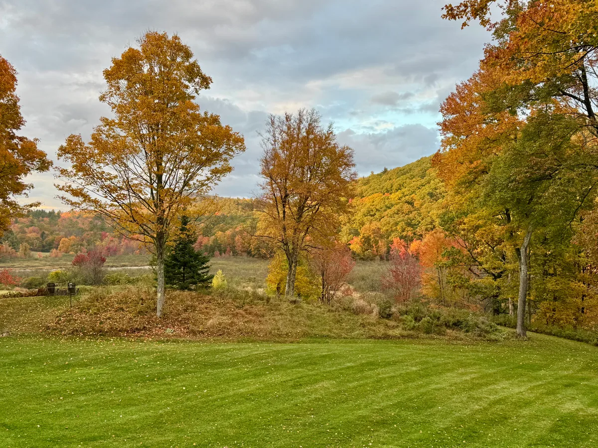 Organic lawn care result