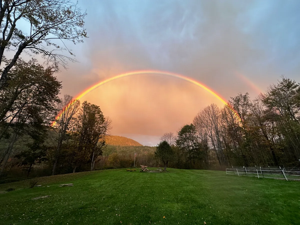 Organic lawn care result