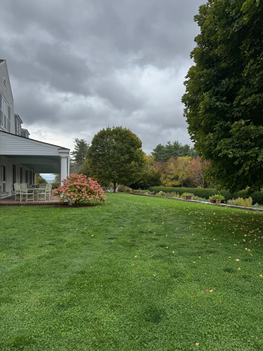 Organic lawn care result