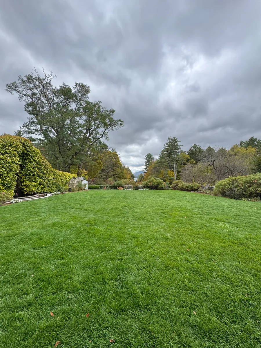 Organic lawn care result