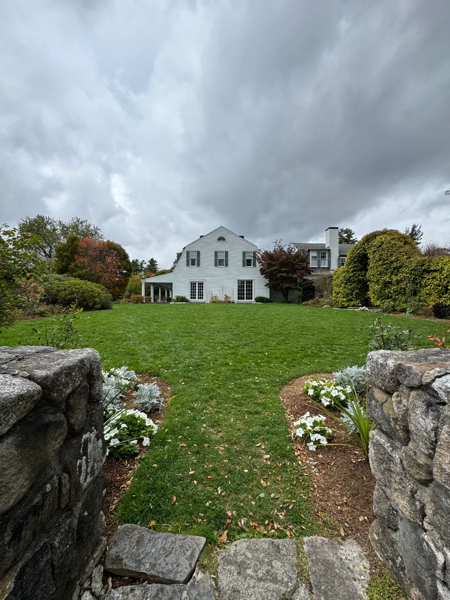 Organic lawn care result