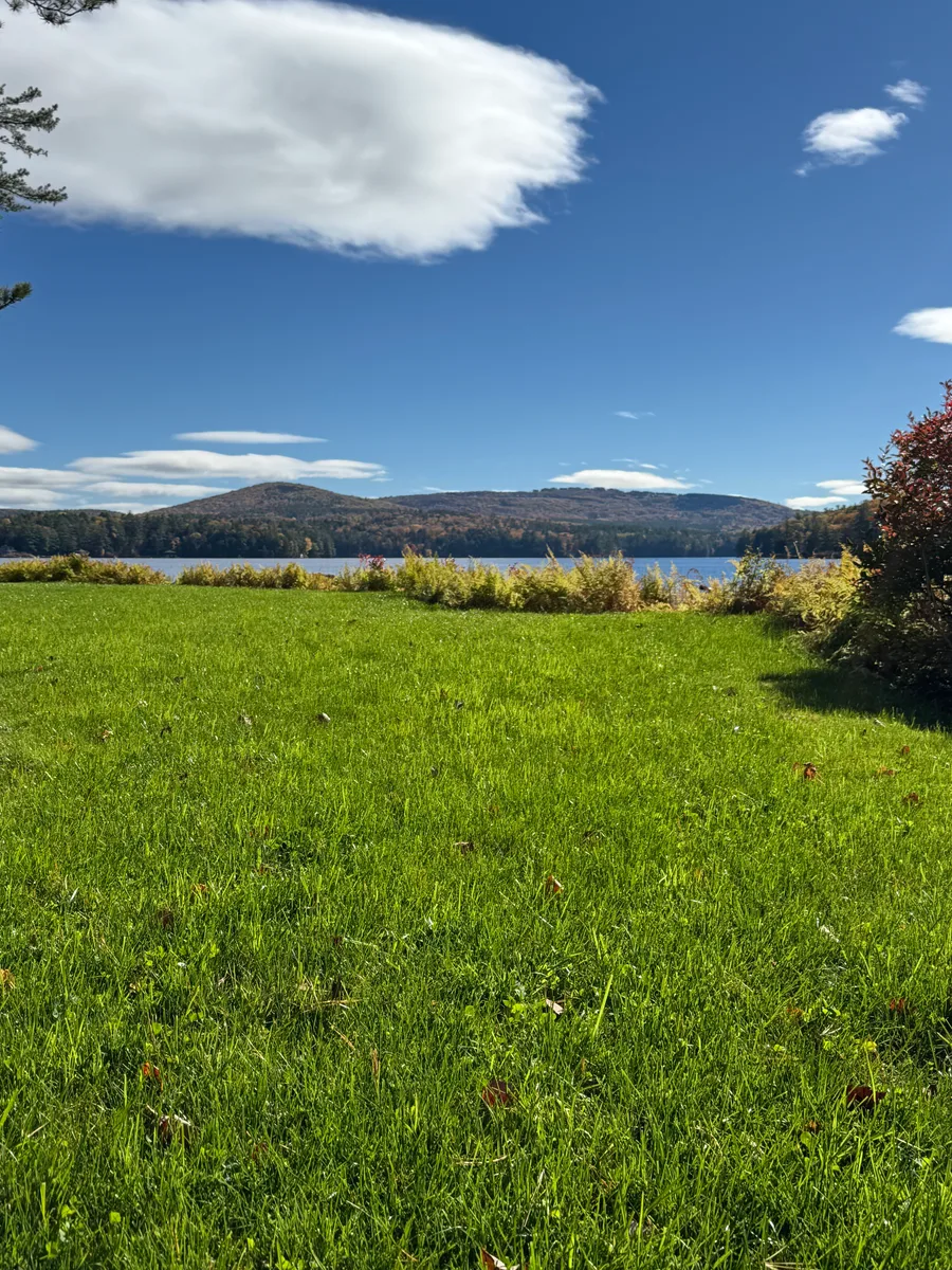 Organic lawn care result