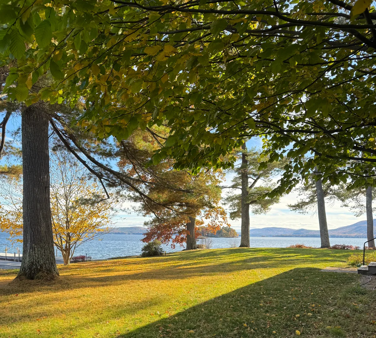 Organic lawn care result