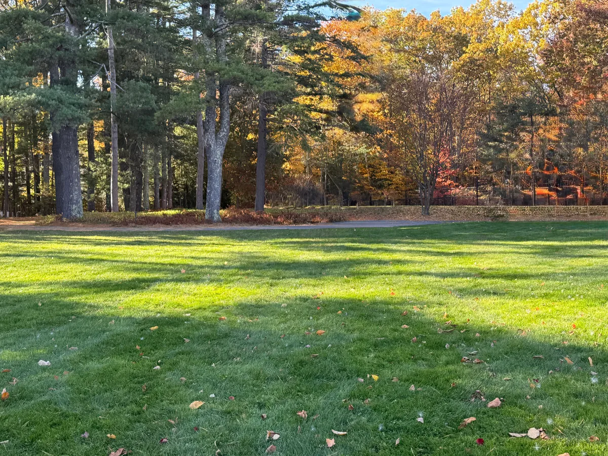 Organic lawn care result