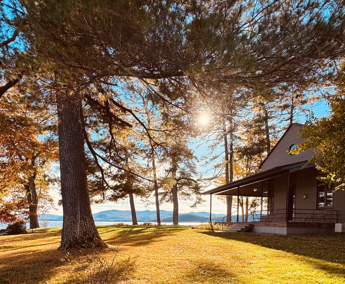 Organic lawn care result