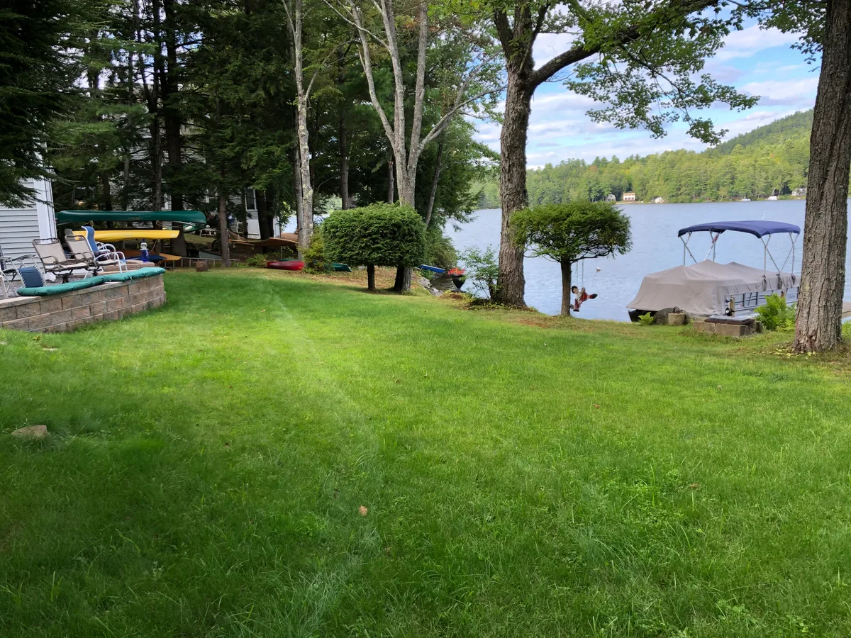Organic lawn care result