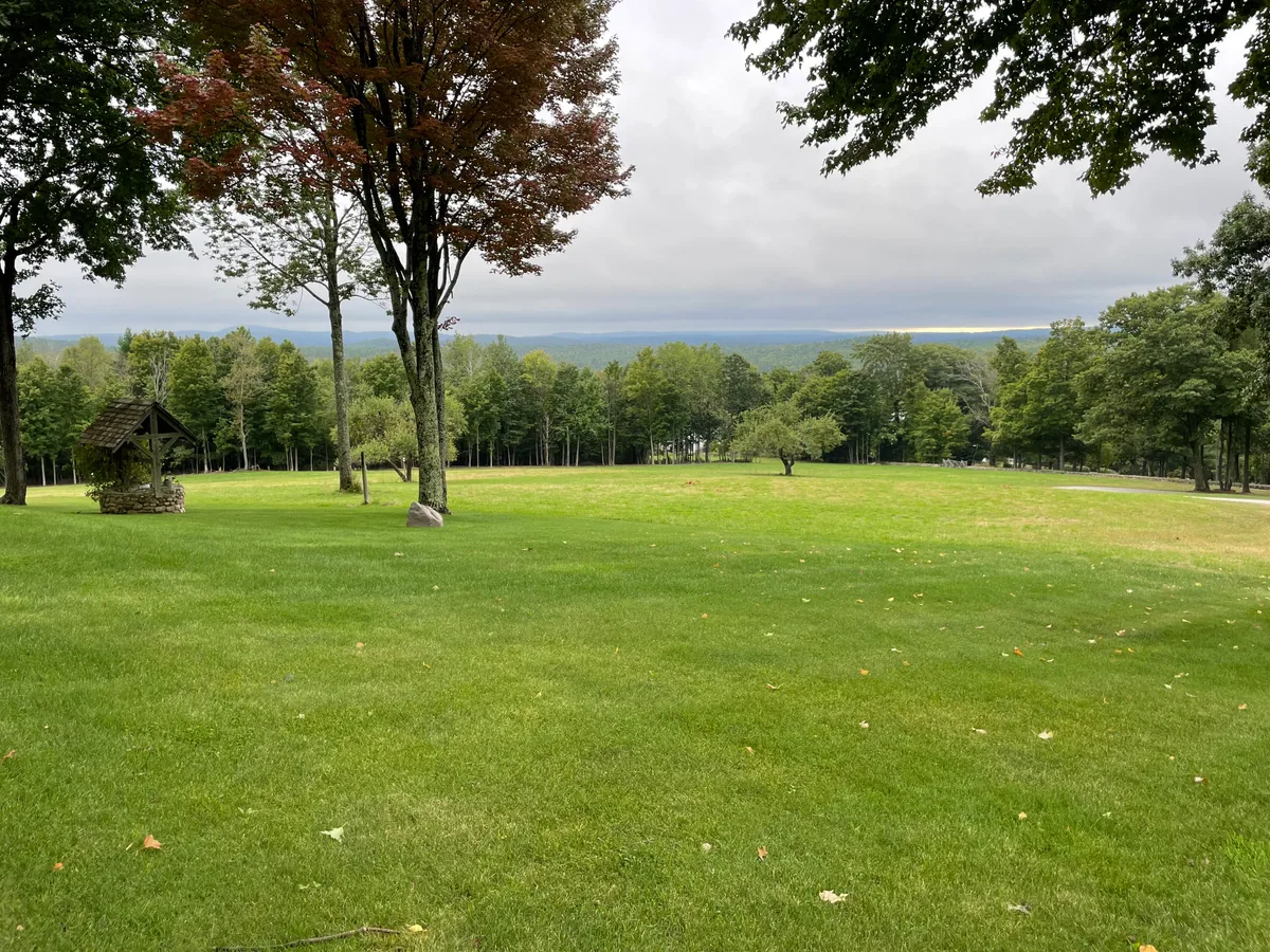 Professional organic products