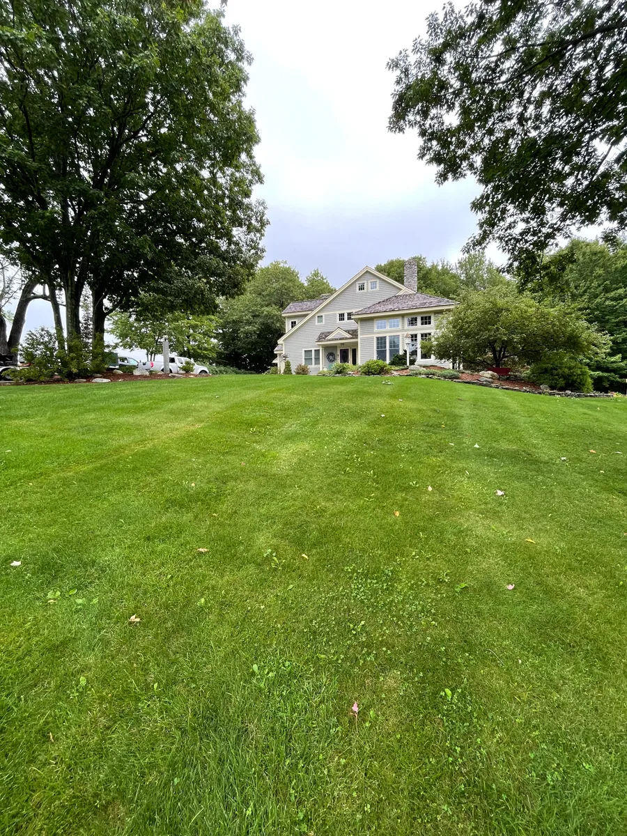 Organic lawn care result