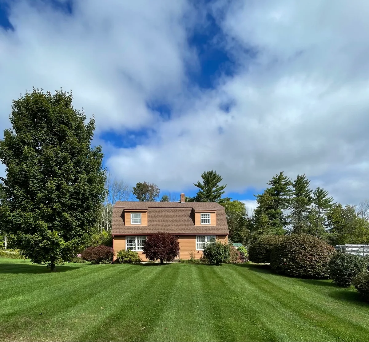 Organic lawn care result