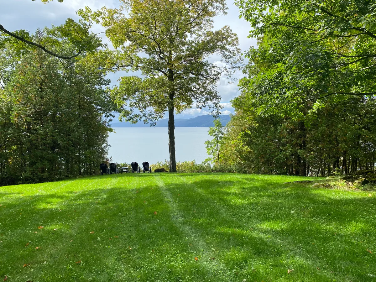 Organic lawn care result