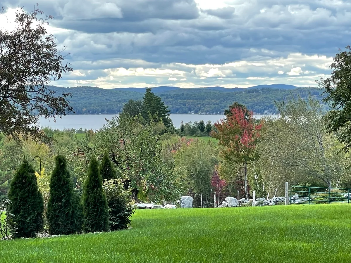 Organic lawn care result