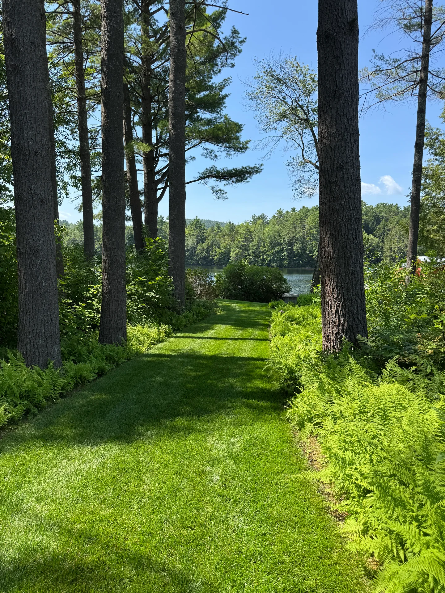Beautiful New Hampshire home with organic lawn
