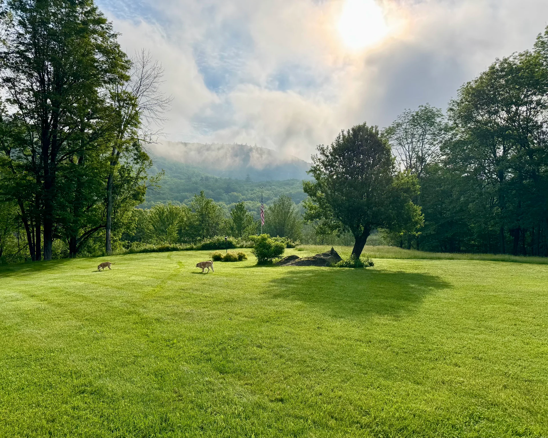 Organic lawn care work in New Hampshire
